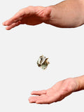 Floating Bill