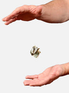 Floating Bill