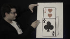 Cardiographic by Martin Lewis and João Miranda (stage version)