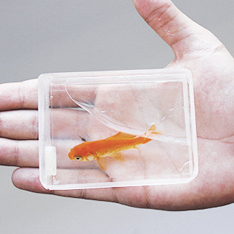 Aquarium by João Miranda and Gustavo Sereno